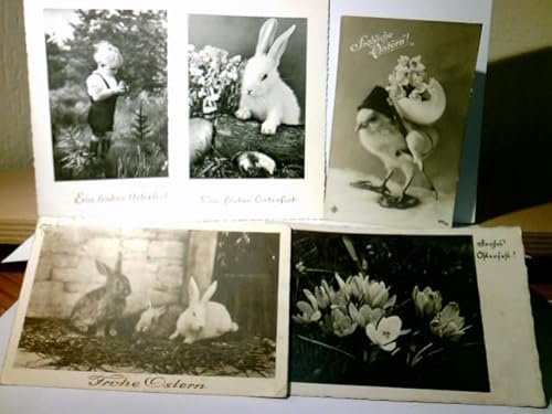Frohe Ostern. Konvolut. 5 x Alte Ansichtskarte / Postkarte s/w, ungel. u. gel. 1936 / 39 / 58. Ostergrüsse, Osterfest, Grußkarten.