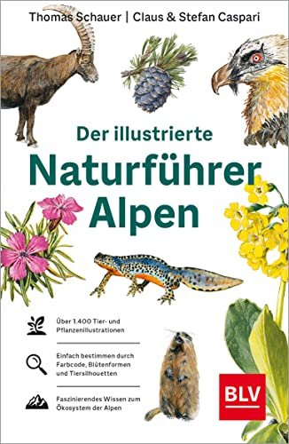 Der illustrierte Naturführer Alpen (BLV Naturführer)